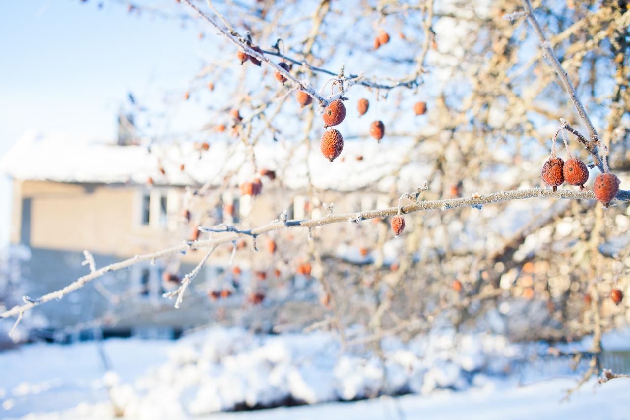 Helsingegarden Hostel Järvsö Kültér fotó